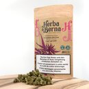 HerbadiBerna Indoor MiniBuds - Cannaqueen (CHF40.00/21g)