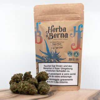 HerbadiBerna Indoor Bl�ten - Power Plant (CHF50.00/12g)