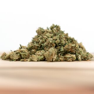HerbadiBerna Indoor MiniBuds - Power Plant (CHF40.00/21g)