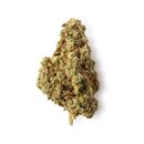 GreenPassion Indoor Bl�ten - Tangerine Passion (CHF13.00/2g)