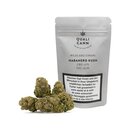 Qualicann Indoor Bl�ten - Habanero Kush (CHF14.90/2g)