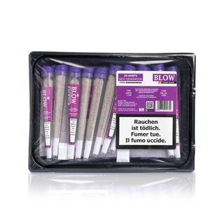 Blow Tabak Joint - Limoncello Violett (1 x 20Stk)