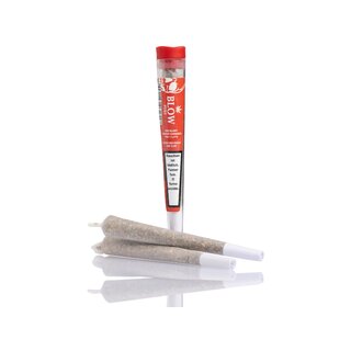 Blow Pure Joint - Cheese Red (1 x 20Stk)