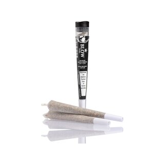 Blow Pure Joint - V1 Black (1 x 20Stk)