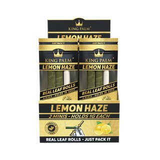 King Palm - Mini - Lemon Haze (20 x 2 Stk.)