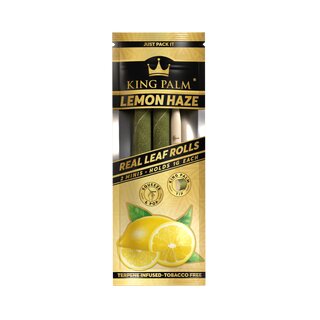 King Palm - Mini - Lemon Haze (20 x 2 Stk.)
