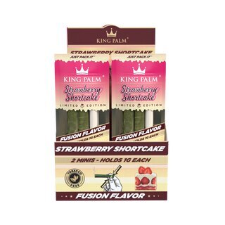 King Palm - Mini - Strawberry Shortcake (20 x 2 Stk.)