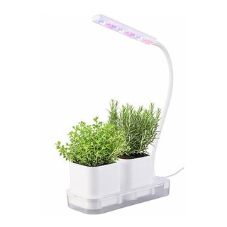 Mini Gew�chshaus - LED