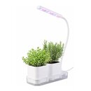 Mini Gew�chshaus - LED