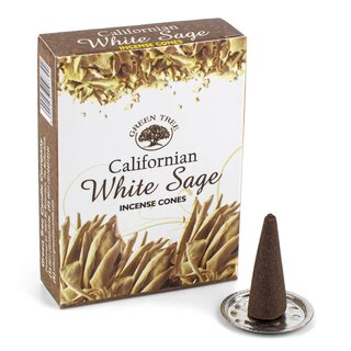 R�ucherkegel - Green Tree - Californian White Sage (12 x...