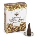 R�ucherkegel - Green Tree - Californian White Sage (12 x...