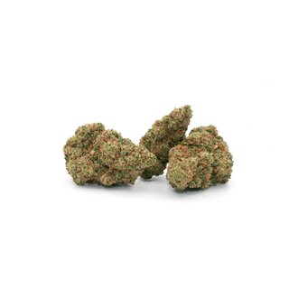 Hempiric Indoor Bl�ten - La Forte Fruit (CHF9.90/2g)