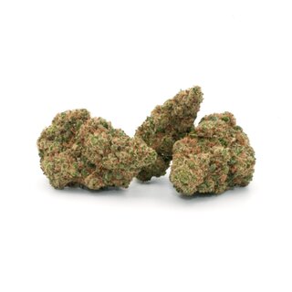Hempiric Indoor Bl�ten - Lemongrass Haze (CHF9.90/2g)