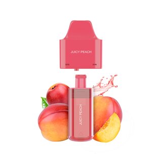ElfBar VapePod 20mg - NX7000 Juicy Peach (1 Stk)