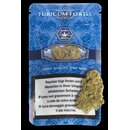 Zauber Blten - Turicum Fortis (CHF 24.00/2g)