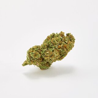 Sweed - Super Silver Haze - kleine Blten (CHF 45.00/10g)