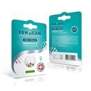 Fenocan CBD Hanfsamen - Fenojoy Feminisiert (1 Stk)