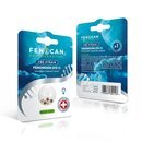 Fenocan CBD Hanfsamen - Fenomoon Feminisiert (1 Stk)