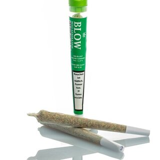 Blow Tabak Joint - Fresh Fruit Green (1 x 20Stk)
