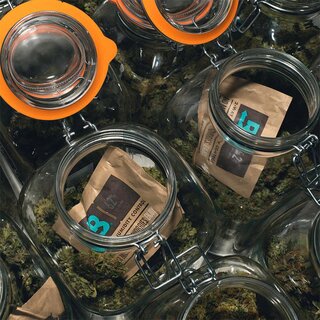Boveda HygroPack - 58% (1 x 4g)