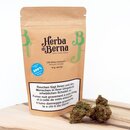 HerbadiBerna Indoor Bl�ten - Harlequin (CHF50.00/10g)