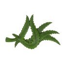 LeafMagnet Magnet - OK Sign (1 Stk)