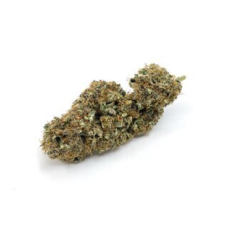 CannabisKing Seeds - Premium Genetic Amnesia Haze (1 x 3Stk)