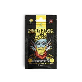 CannabisKing Seeds - Blueberry Kush feminisiert (1 x 3Stk)