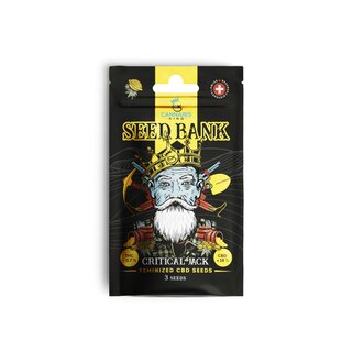 CK Seeds - Critical Jack -  feminisiert (3 Stk.)