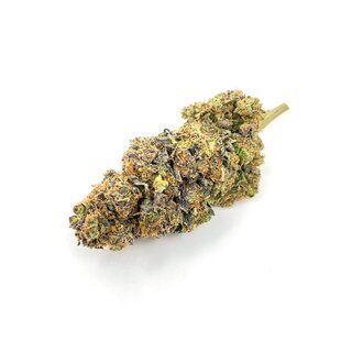 CannabisKing Seeds - Sugar Kiss feminisiert (1 x 3Stk)